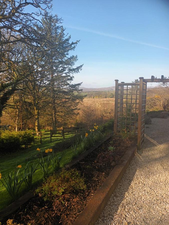 Holly Lodge Letterkenny Buitenkant foto